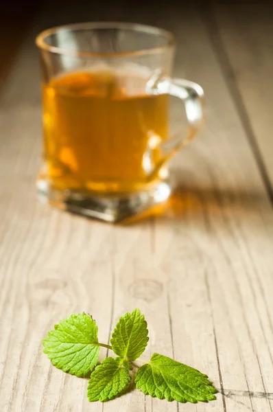 Tazza di tè con menta sul tavolo di legno — Foto Stock