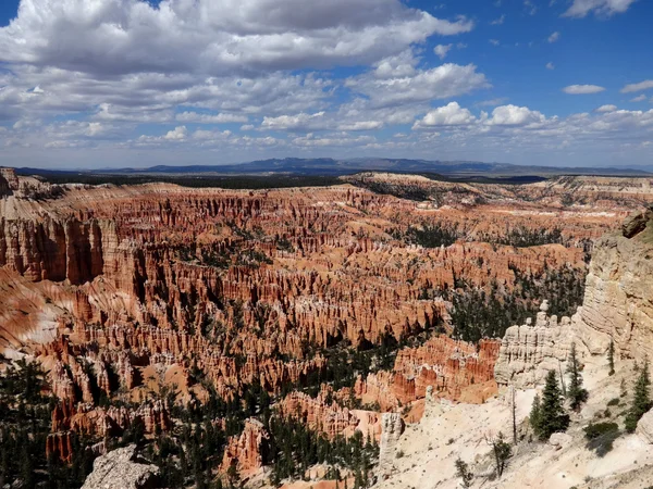 Bryce canyon nationalpark — Stockfoto