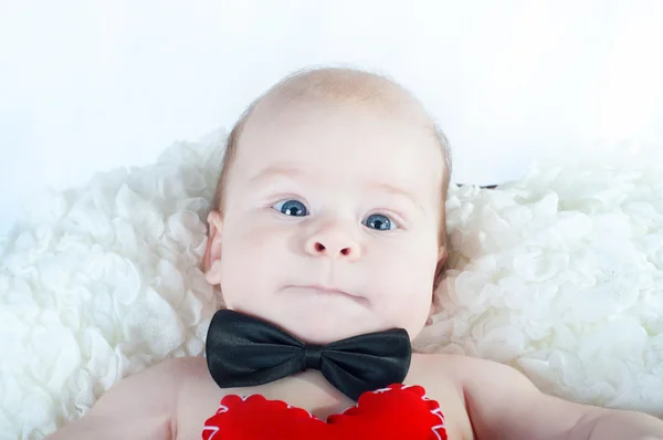 Little beautiful boy in bow tie and with red heart Stock Picture