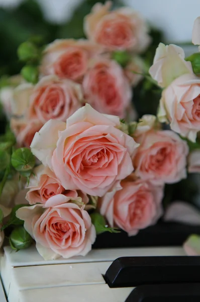 Piano con rosas pétalo —  Fotos de Stock