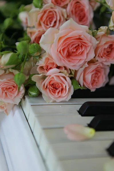Piano con rosas pétalo —  Fotos de Stock