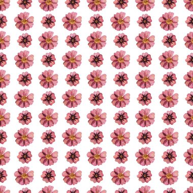 Hassas çiçek desenleri ve kurumuş çiçek aranjmanları beyaz arka planlara yerleştirilir.