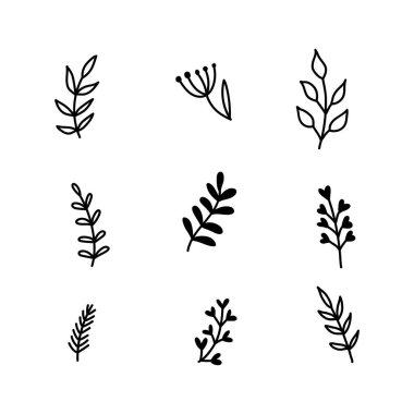 Basit çiçek karalamaları, otlar, dallar.