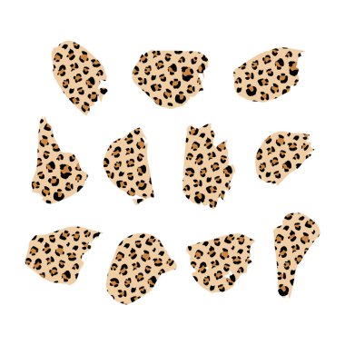 El çizimi vektör leopar desenli mürekkep fırçası darbeleri, aslan desenli siyah boya lekesi. Hayvan boyası sanatsal arka planlara bulaşır. Lekeler ve siluetler tasarım elementi.