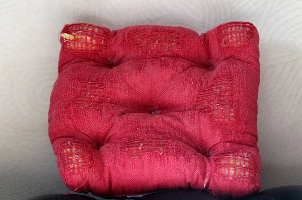 ペット犬によって破壊された細断された織物赤い枕 — ストック写真