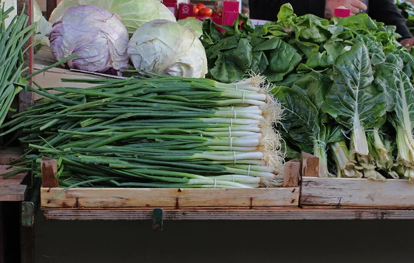 Barraca Mercado Com Pilhas Vegetais Verdes Orgânicos Frescos — Fotografia de Stock