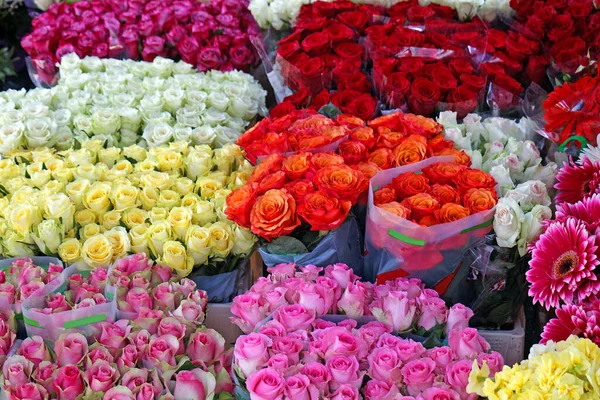 色とりどりのバラの花の芽と花の店で咲く — ストック写真