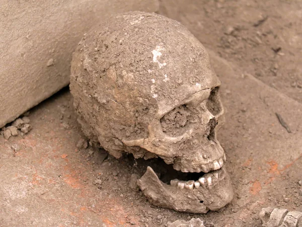 Calavera Humana Muerta Cubierta Polvo Tierra — Foto de Stock