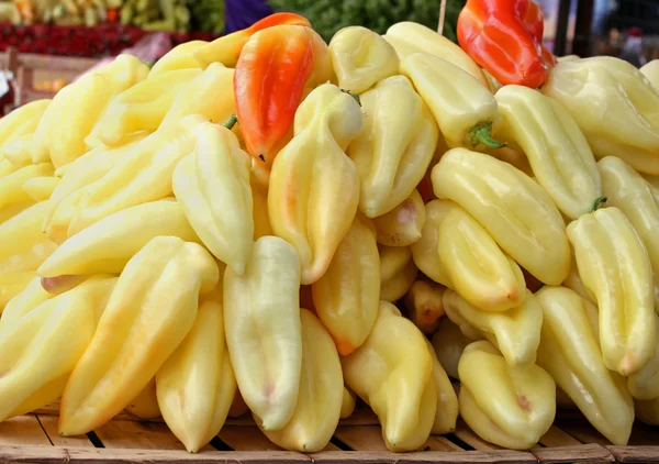 Pimentos amarelos — Fotografia de Stock