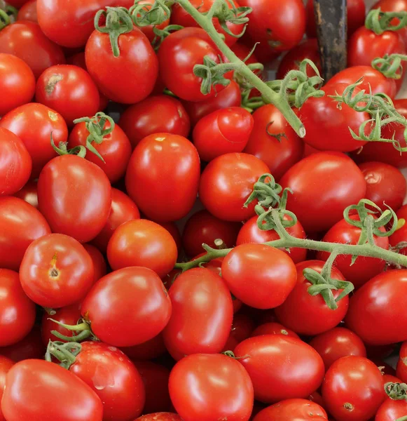 Plum tomatoes — Stock Photo, Image