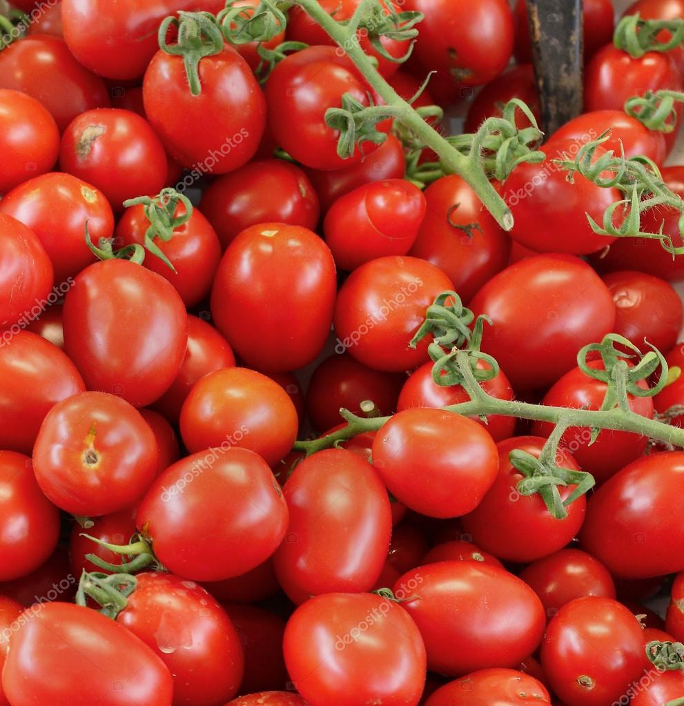 Plum Tomatoes — Stock Photo © Ttatty 59719859