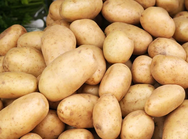 Genç patates yığını
