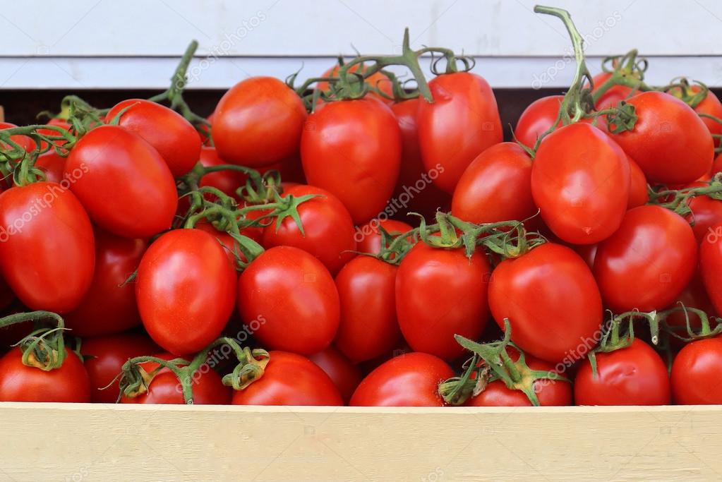 Plum tomatoes Stock Photo by ©ttatty 75808133