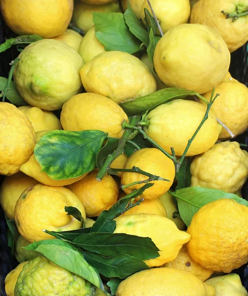 Sicilianska citroner — Stockfoto