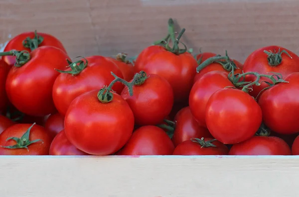 Tomatoes crate — Stock Photo, Image