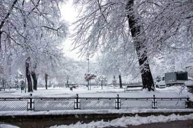 Kış boyunca halk parkında ağaçlar ve topraklar karla kaplıydı.