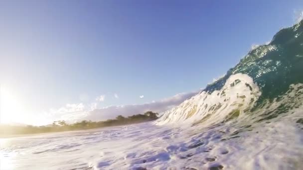 À l'intérieur de la vague 