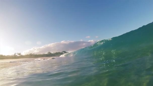À l'intérieur de la vague 
