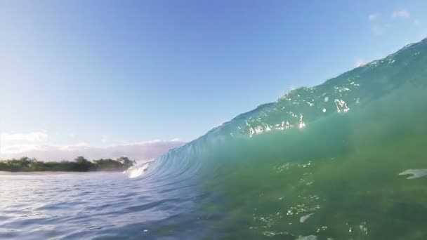 À l'intérieur de la vague 