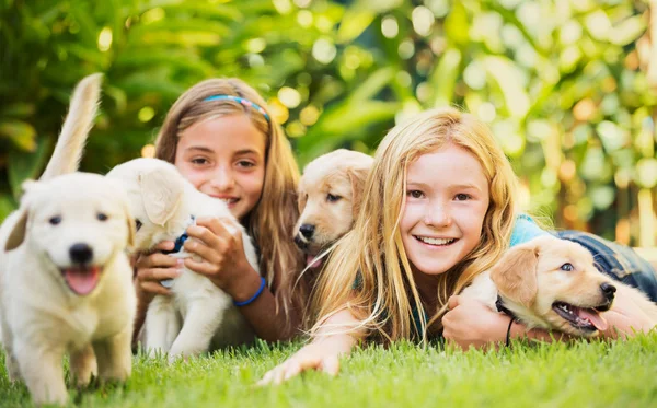 Young Girls with Baby Puppies — Stock Photo, Image