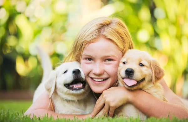 Linda chica joven con cachorros —  Fotos de Stock