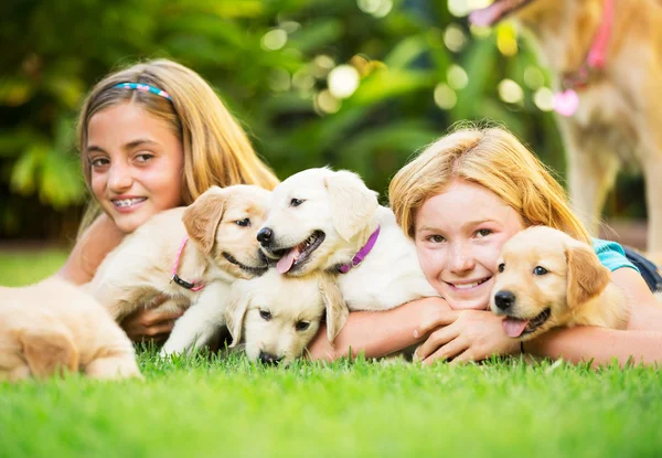 Cute Young Girls with Puppies — Stock Photo, Image
