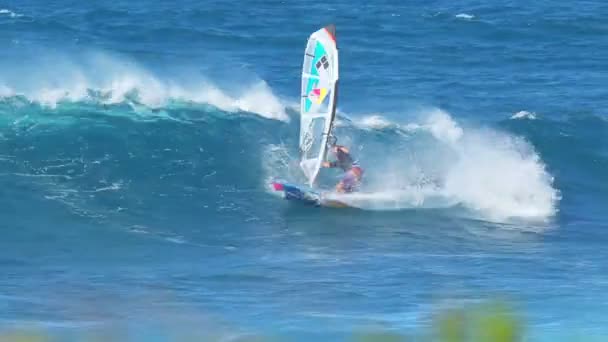 MAUI, HI - February 1: Professional windsurfer Levi Siver rides a wave at Ho'okipa Beach. Strong wind and large waves made for extreme windsurfing and big airs. February 1, 2012 in Maui, HI. — Stock Video