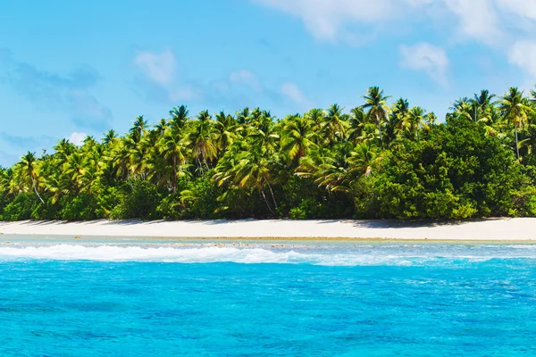 Mavi okyanus ve palmiye ağaçları — Stok fotoğraf