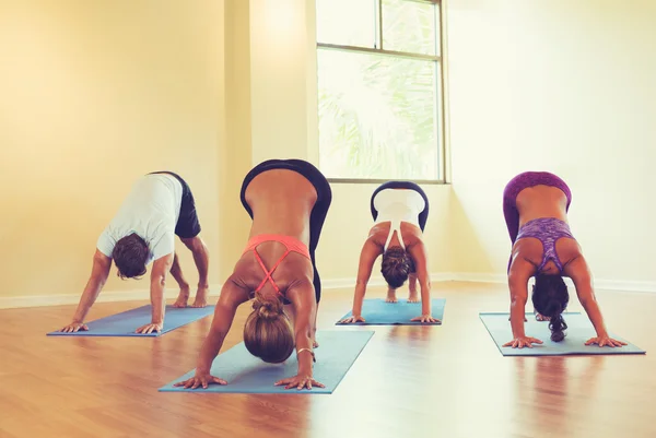 Mensen die het beoefenen van neerwaartse hond Pose in Yoga klas — Stockfoto