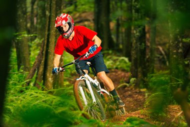 Dağ bisikletçinin sürme aşağı orman iz