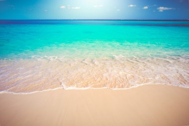 tropikal beyaz kum plaj ve deniz
