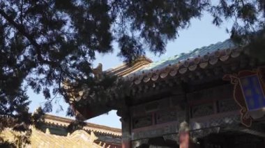 Geleneksel Çin mimarisinin çatısına bakın. Güneşli şafaklar arasında ahşap mimari tasarımı.