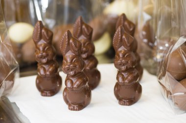 Zanaat çikolata bar hazırlanması için malzemeler 