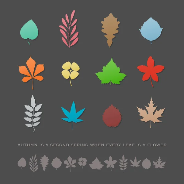 Reihe von bunten, von Hand gezeichneten Blatt-Ikonen auf grauem Hintergrund isoliert. Vektor verlässt Logo-Sammlung. Gestaltungselemente der Herbstsaison. natürliches Pflanzensymbol — Stockvektor