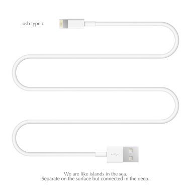 Yeni usb arabirim kablosu beyaz arka plan üzerinde izole. Evrensel seri veri yolu 3d illüstrasyon vektör. bilgisayar çevre birimleri bağlayıcı veya smartphone şarj kaynağı. 