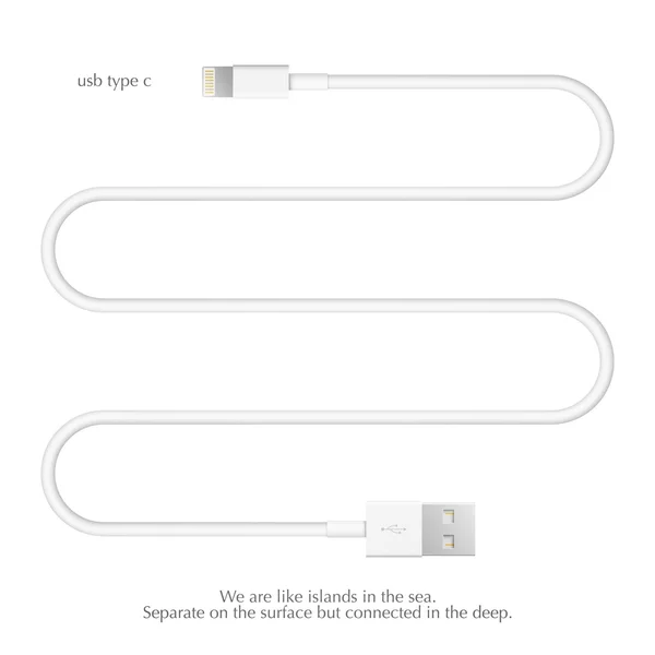 Nieuwe USB-interfacekabel eerst geïsoleerd op een witte achtergrond. universele seriële bus 3d vectorillustratie. computer randapparatuur connector of smartphone opladen levering. — Stockvector