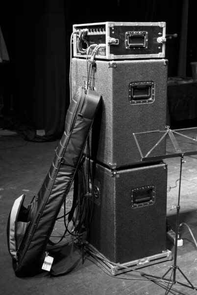 Capa de guitarra — Fotografia de Stock