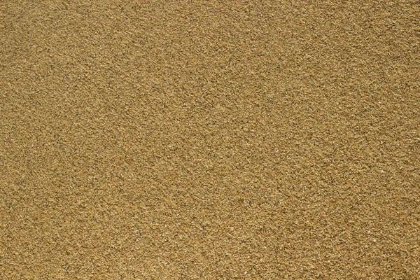 Gold sandy — Stock Photo, Image