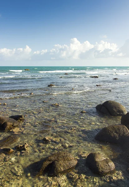 Coral at evening — Stock Photo, Image