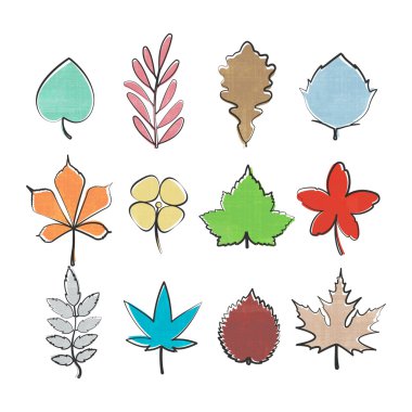 set of colorful, hand drawn leaf icons isolated on white background. vector leaves logo collection. thin line contour, seasonal design elements. natural plant symbol