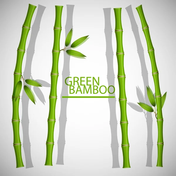 Bamboo frame. Vector illustration, eps10. — Stock Vector