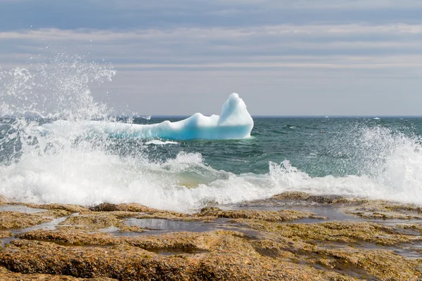 Icebergs costeiros, Terra Nova e Labrador — Fotografia de Stock