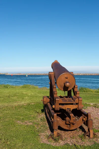 Cannon over looking the harbor — Stock Photo, Image