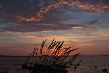 Okyanusu günbatımı