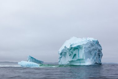 Newfoundland buzdağı