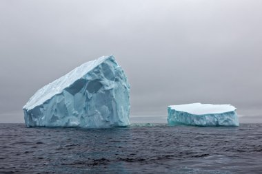 Newfoundland buzdağı