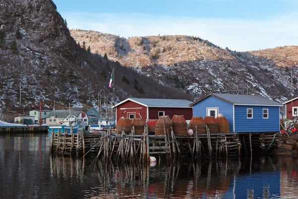 Newfoundland Fishery — Stock Photo, Image