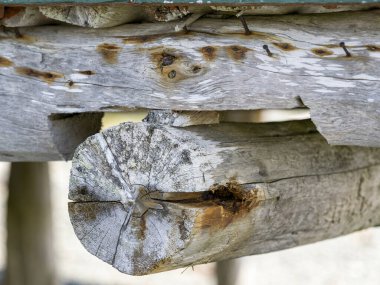 Yuvarlak bir kütüğün tepesindeki küçük bir tahta blok tarafından desteklenen bir yapı.