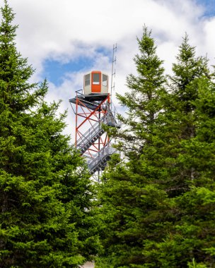 Newfoundland ve Labrador, Kanada 'daki yangın kulesi.