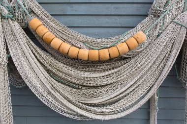 Şamandıralı balık ağı